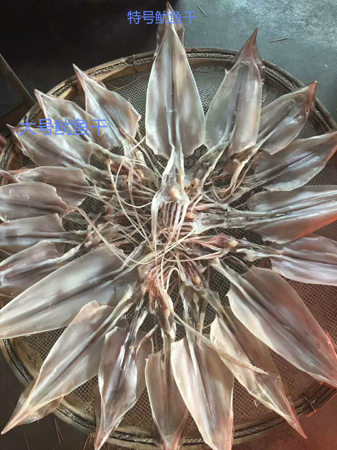 阳光淡晒大鱿鱼干大号野生东山岛特产天然干鱿鱼海产干品干货500g