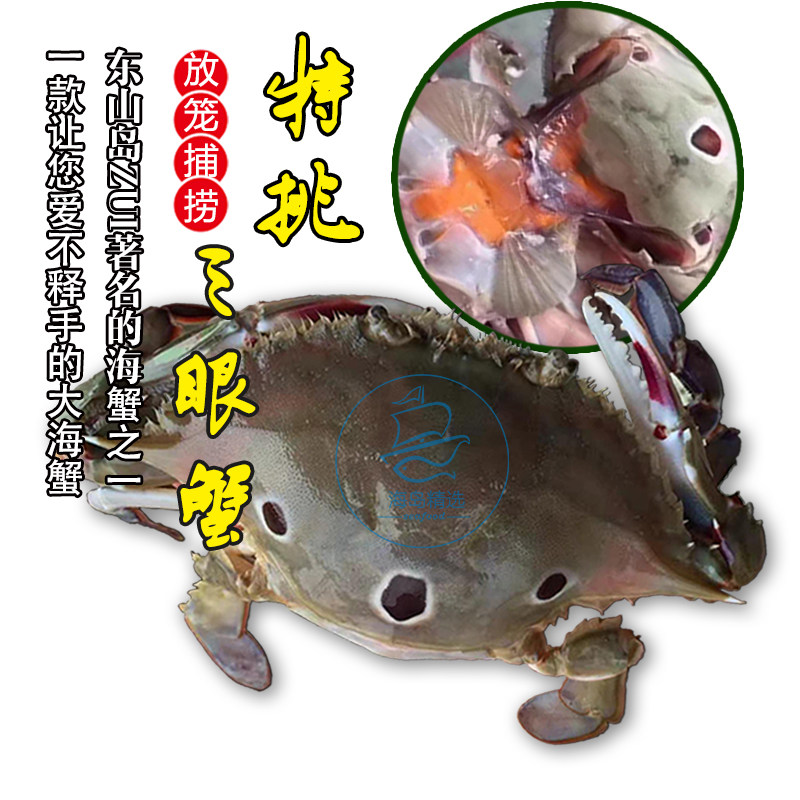 ���ʶ�ɽ��Ұ��������������з 305Ԫ��5��(��61Ԫ/��)