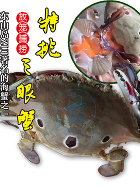 海鲜东山岛野生三眼满膏梭子蟹
