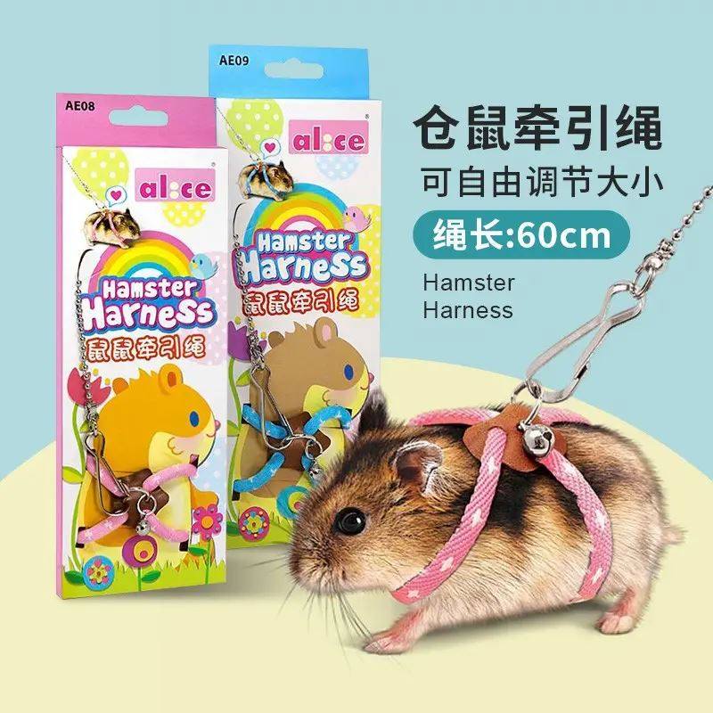 仓鼠外出牵引绳仓鼠牵引绳遛鼠绳熊仔金丝熊外出牵引带仓鼠互动解