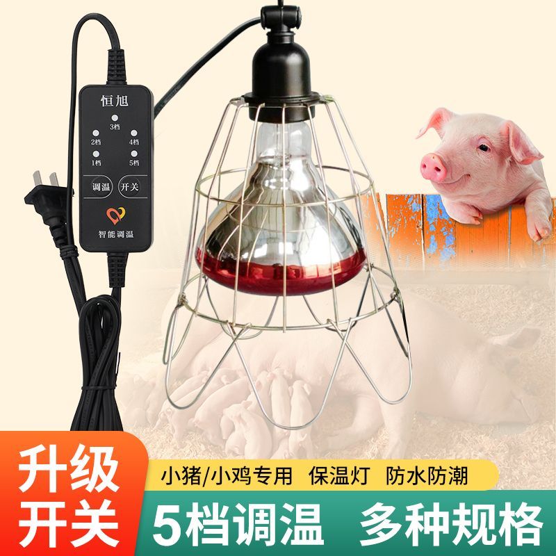 畜牧养殖兽用保温灯套装仔猪小鸡取暖灯泡灯罩可调温度加热带线