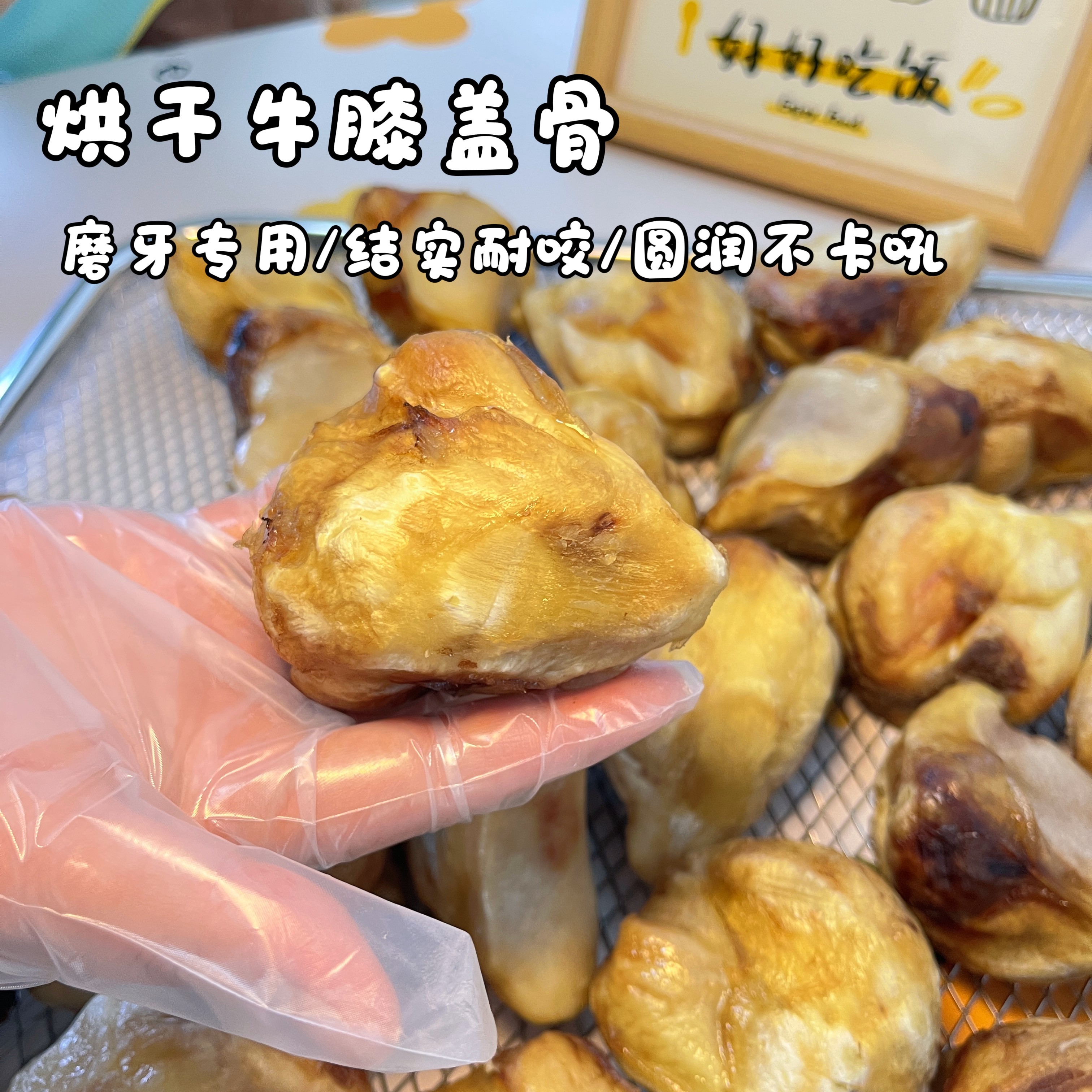 狗狗零食宠物磨牙牛膝盖骨手工自制泰迪比熊预防双排牙磨骨头耐啃