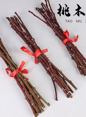 桃木枝 桃木棍 卧室床头 宝宝 桃木摆件 肥城桃木树枝