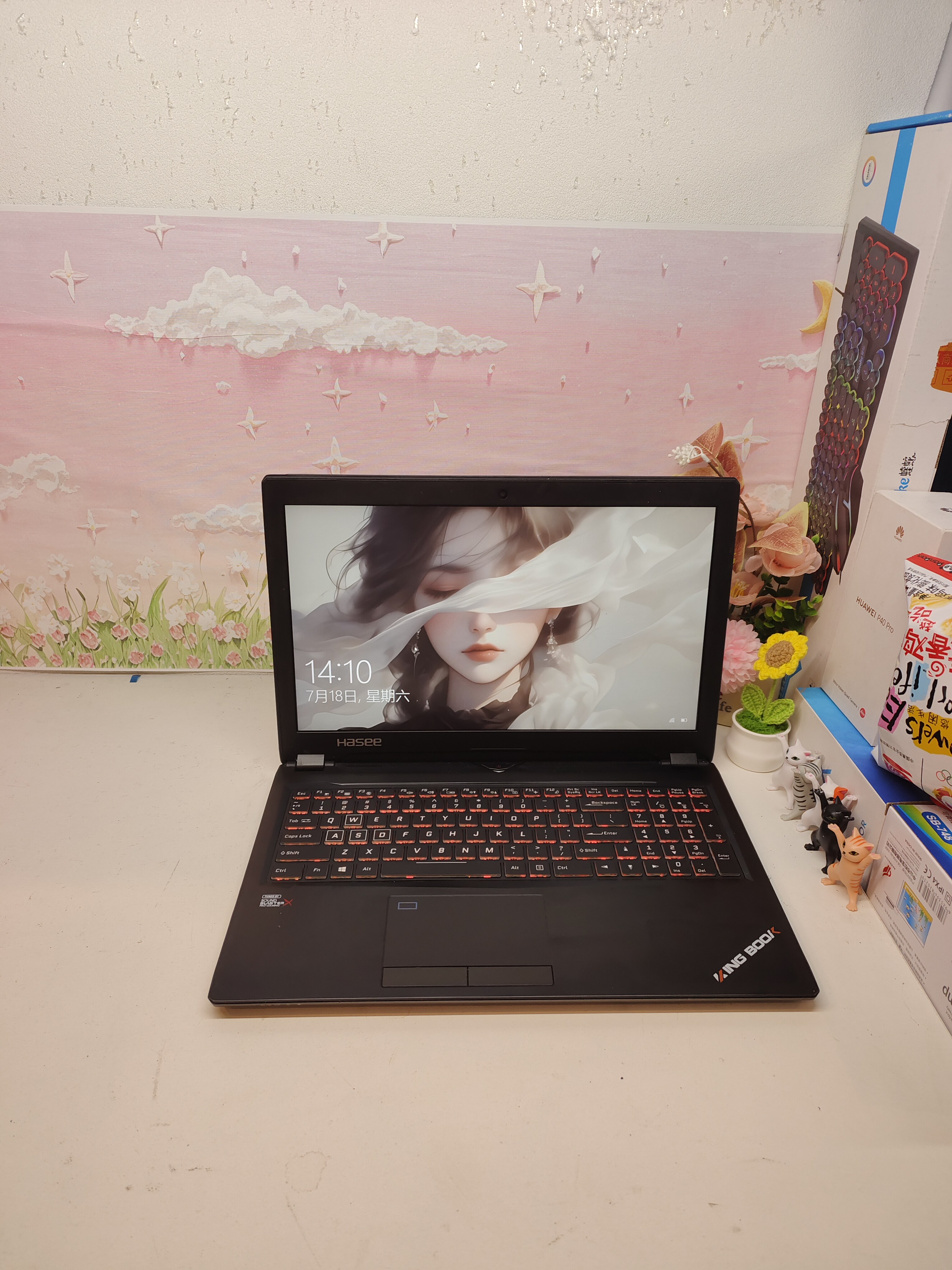 二手神舟P95_HP游戏本 7代i7 GTX1060 6G独显15.5大屏