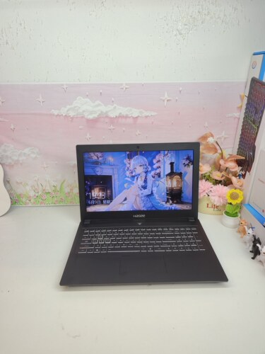 二手雷神911游戏本笔记本电脑8代i7六核，GTX1060 6G独显，16GB