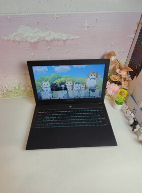 二手雷神911游戏本，i7八代六核GTX1060 ，6G独显，15.5英寸大屏