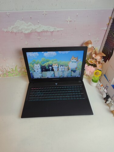 二手雷神911游戏本，i7八代六核GTX1060 ，6G独显，15.5英寸大屏