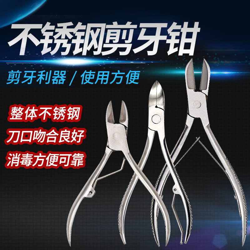 直头弯头仔猪剪牙钳小中大号不锈钢剪齿钳猪用剪修牙断牙钳 兔子