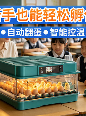家用孵化器小鸡孵化翻蛋机全自动