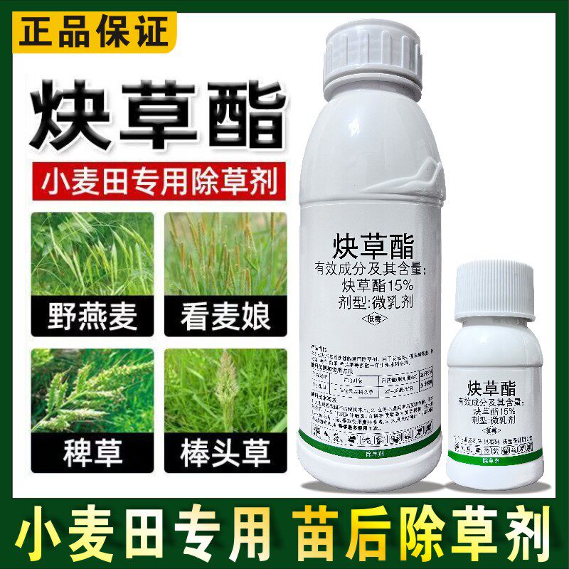 15%炔草酯小麦田除草剂杀野燕除草剂