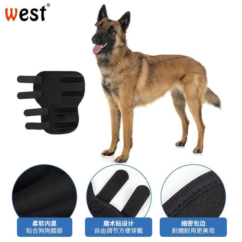 狗狗护腿关节护膝 髌骨防护 辅助韧带关节脱位保护关节防止舔咬,运动/瑜伽/健身/球迷用品,芭蕾舞护腿袜/护具,淘宝优惠券,粉丝福利购,淘宝优惠卷