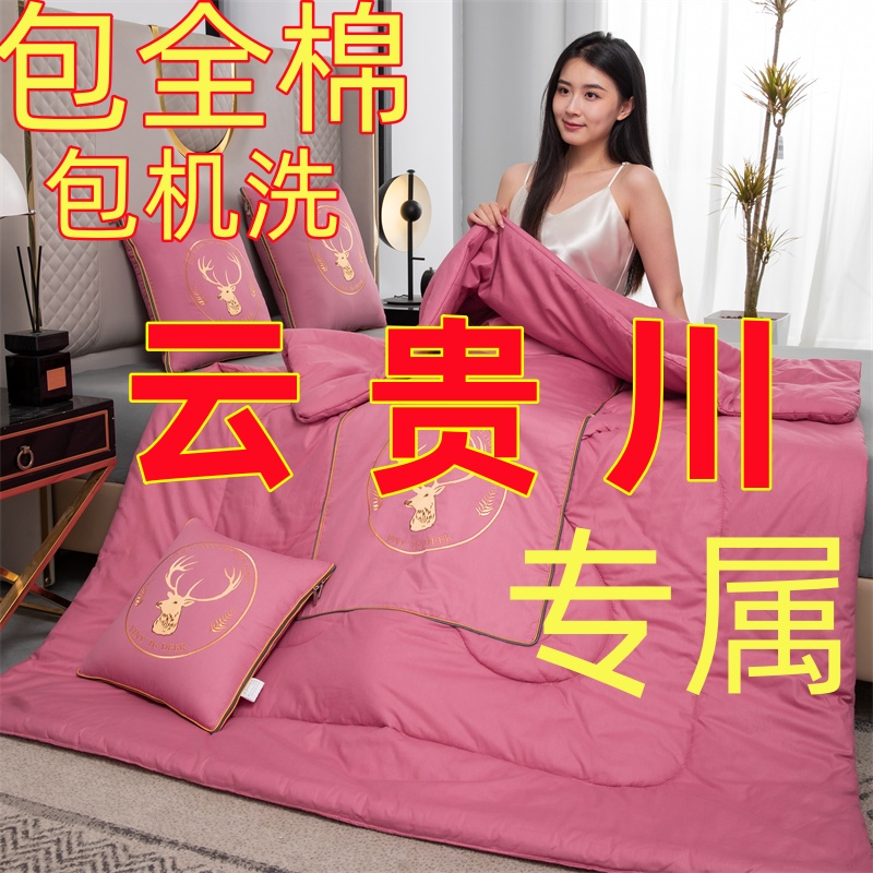 纯棉两用抱枕被子超大号可折叠汽车靠垫沙发办公室午休空调被机洗