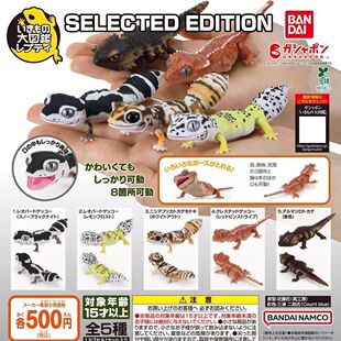 正版现货万代生物大图鉴爬虫类动物犰狳蜥蜴守宫微缩模型摆件扭蛋