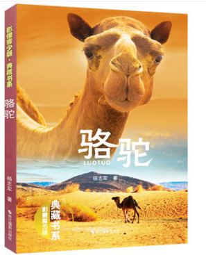 库存清仓 骆驼(影像青少版·典藏书系)美绘本 杨志军著 动物小说全集 儿童文学6-10-12-15周岁阅读 四五六年级小学生课外阅读书籍