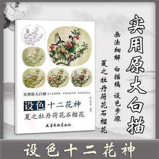 设色十二花神夏之牡丹荷花石榴花 郑玲玲 编绘 工艺美术 艺术 天津杨柳青出版实用原大白描 步骤彩稿国画工笔画临摹白描 入门写意