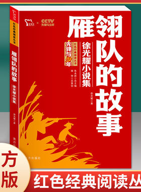 雁翎队的故事 徐光耀小说集 小学生红色经典书籍革命传统教育读本 二三四年级寒暑假书目儿童课外读物畅销书革命英雄故事书