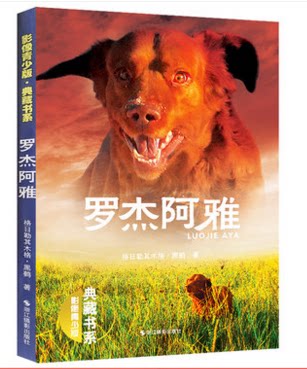 库存清仓正版 罗杰阿雅(影像青少版·典藏书系)美绘本 黑鹤著 动物小说全集 儿童文学6-15周岁阅读 四五六年级小学生课外阅读书籍
