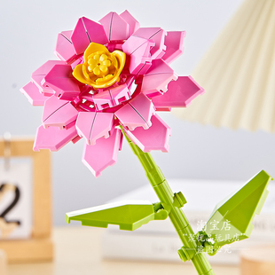 单支长寿花束积木女孩子长辈拼装花朵玩具摆件六一儿童节礼物生日