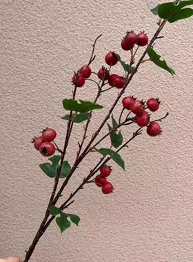 高仿真山楂果子花瓶装饰插花摆放 山楂树枝单支长杆红果子新款