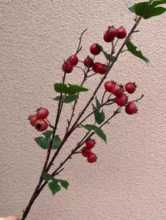 高仿真山楂果子花瓶装饰插花摆放 山楂树枝单支长杆红果子新款