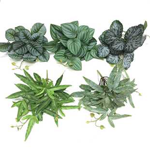 仿真把束凤尾蕨西瓜叶海棠叶迷你小垂挂花盆绿植景观背景墙装饰