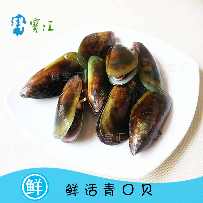 海鲜水产 新鲜鲜活青口贝 下酒菜海虹 壳菜 青口 淡菜 配送500g