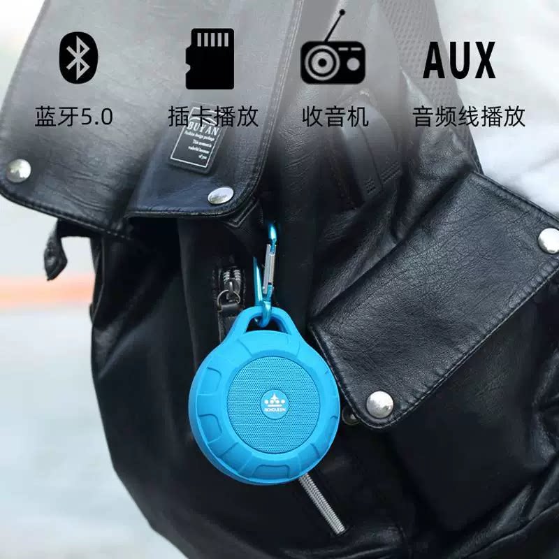 ROYQUEEN/朗琴 T350蓝牙音箱户外小音响迷你骑行重低音收音机