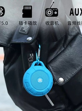 ROYQUEEN/朗琴 T350蓝牙音箱户外小音响迷你骑行重低音收音机