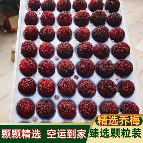 云南高山杨梅新鲜水果新鲜现摘现发酸甜多汁应季孕妇水果