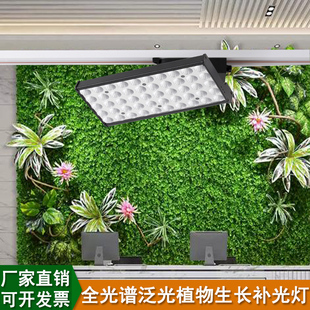全光谱泛光植物生长补光灯太阳热植龙舌兰绿植景观墙补光轨道灯