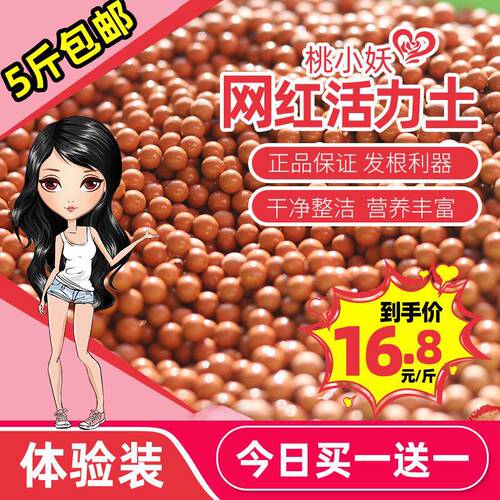 活力土透气多肉土桃小妖颗粒土