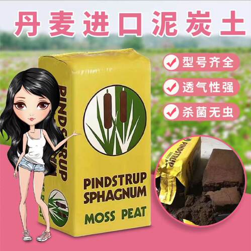 【桃小妖】泥炭土品式专用土多肉