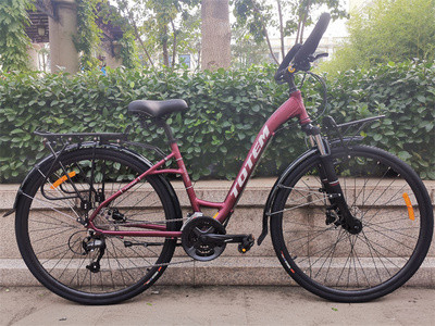 包邮旅行车图腾27速油刹