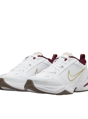 Nike Air Monarch 时尚复古防水老爹鞋IB4607-171Q广东FS