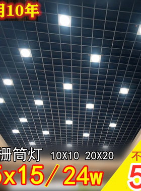 格栅筒灯15X15方形铁铝格子led双头10*20公分葡萄架专用6寸黑射灯