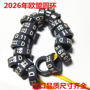 2026年2025元宝鸽圆环观赏鸽信鸽订做定制信鸽足环鸽子脚环闭口