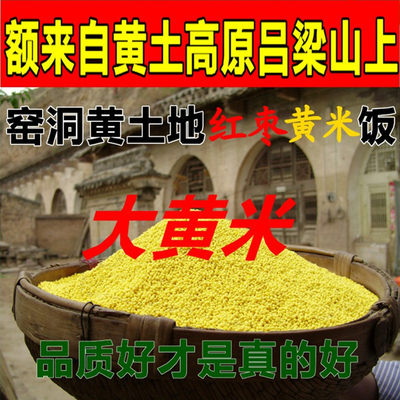 山西吕梁山农家自产黄小米500g