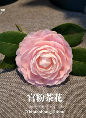 宫粉小桃红茶花阳台树苗春节前后