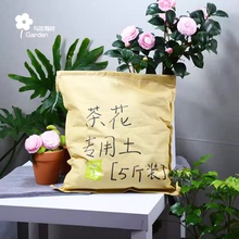 营养泥炭椰康红珍珠岩有机山茶花专用土杜鹃花农通用植物福建包邮