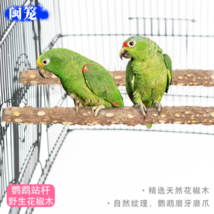 天然花椒木站棍鸟架鹦鹉站架笼站杆训练架鸟笼实木磨爪棍杠棍栖杠