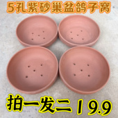 包邮 鸽子紫砂巢盆繁殖窝 赛鸽用品用具紫砂巢盆专用垫子信鸽草窝