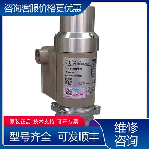 议价SG15RS220施能慢开电磁阀SG20RS220可维修