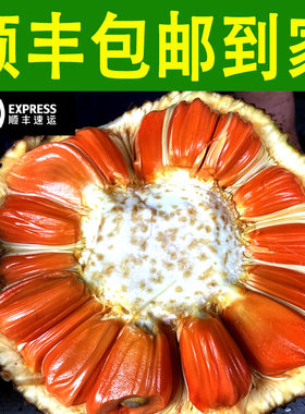 正宗印尼红菠萝蜜香甜脆口