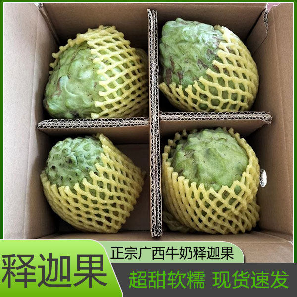 新鲜现摘 广西农家自种凤梨牛奶释迦果 新鲜现摘大果莲雾水果礼盒,水产肉类/新鲜蔬果/熟食,番荔枝/释迦,淘宝优惠券,粉丝福利购,淘宝优惠卷