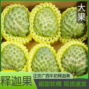 释迦果新鲜现摘热带水果大果牛奶释迦果番荔枝凤梨迦释果牟尼甜果