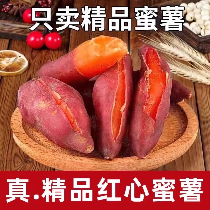 正宗西瓜红红薯种红皮红心蜜薯糖番薯