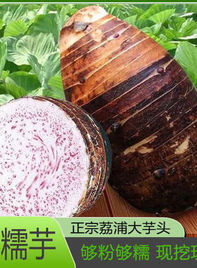 广西正宗荔浦芋头竽头新鲜大芋头特价利浦荔甫荔蒲玉头0特级香芋