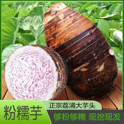 广西正宗荔浦芋头竽头新鲜大芋头特价利浦荔甫荔蒲玉头0特级香芋