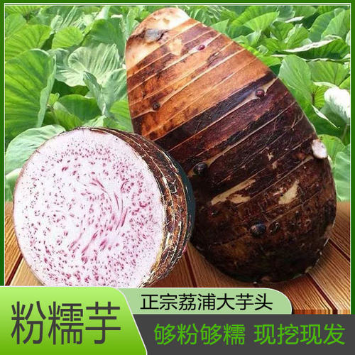 广西正宗荔浦芋头竽头新鲜大芋头特价利浦荔甫荔蒲玉头0特级香芋
