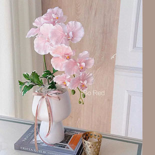 订婚结婚乔迁之喜高脚简约陶瓷花盆轻奢高级感蝴蝶结兰花小花盆